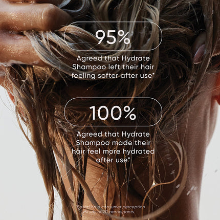 Hydrate Condition