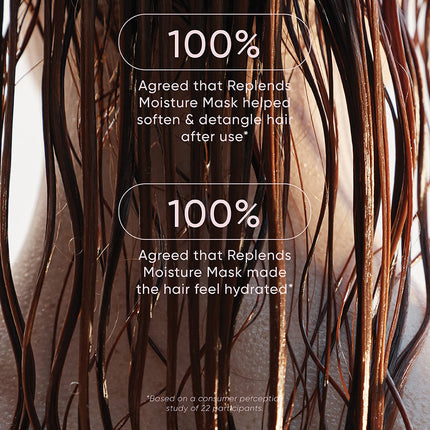 Replends Moisture Mask